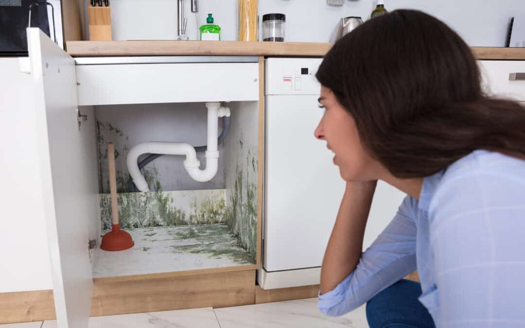 5 Signs You Need a Plumber Immediately (Before It Gets Worse)